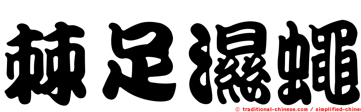 棘足濕蠅