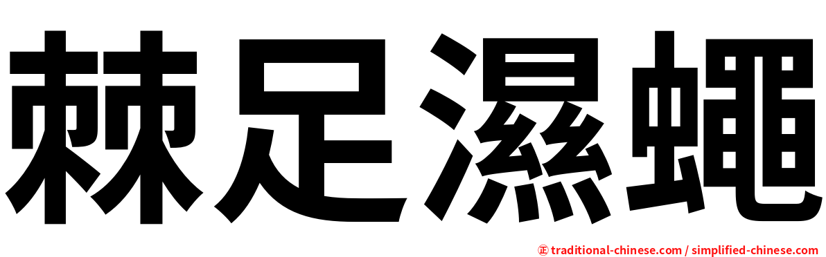 棘足濕蠅