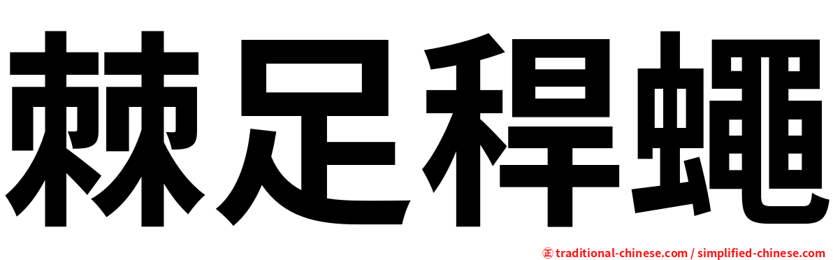 棘足稈蠅