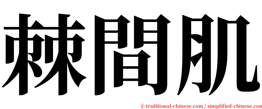 棘間肌 serif font