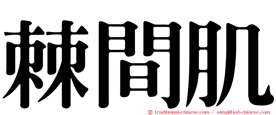 棘間肌