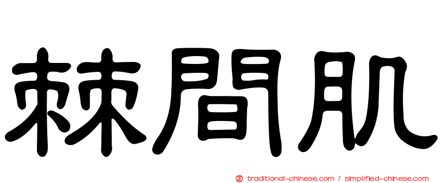 棘間肌