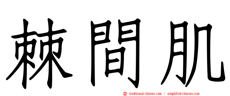 棘間肌