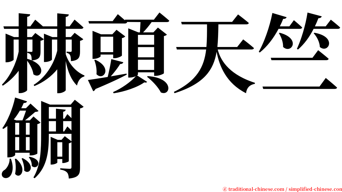 棘頭天竺鯛 serif font