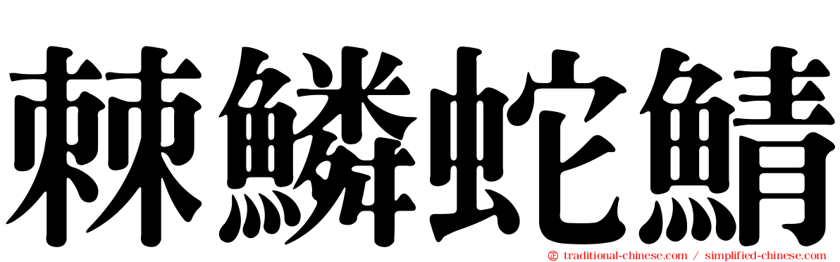 棘鱗蛇鯖