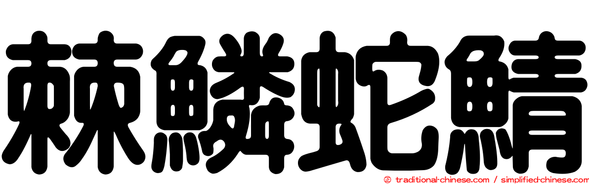 棘鱗蛇鯖