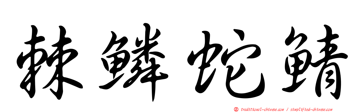 棘鱗蛇鯖