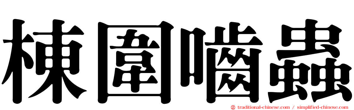 棟圍嚙蟲