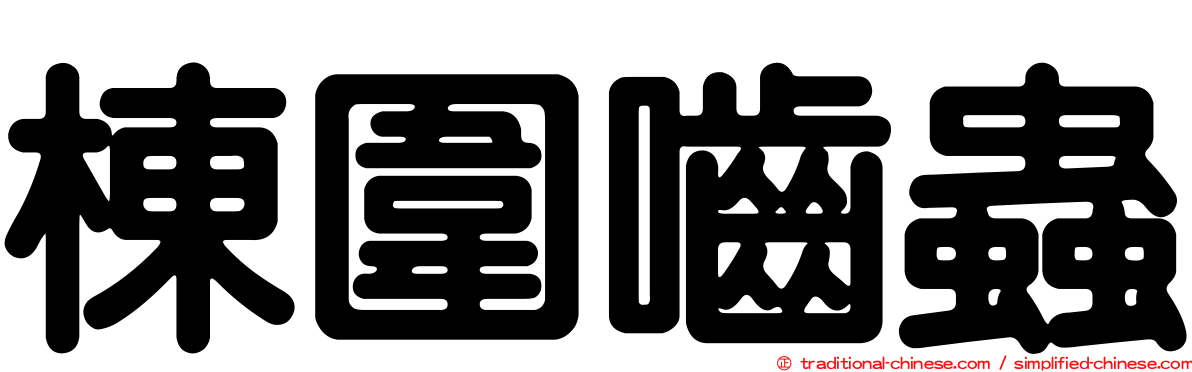 棟圍嚙蟲