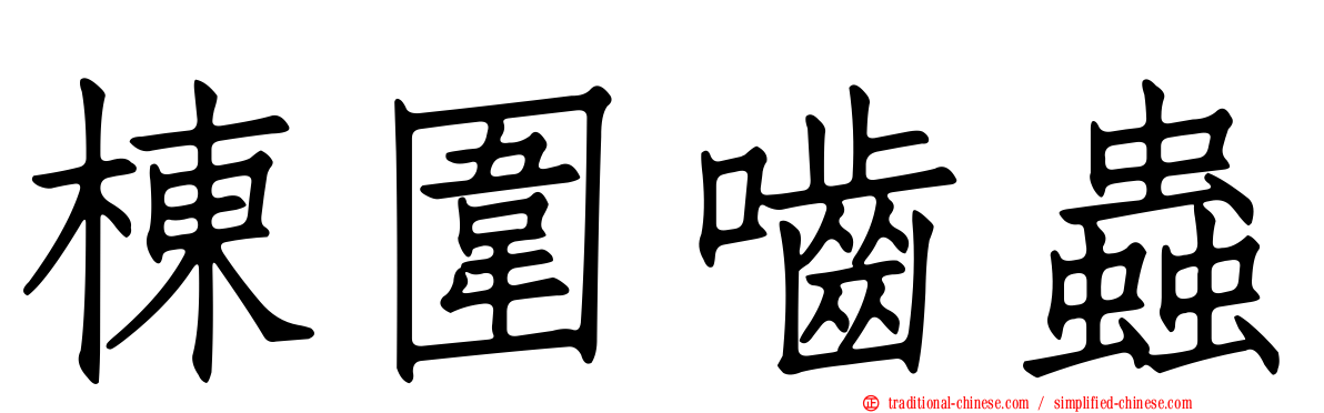 棟圍嚙蟲