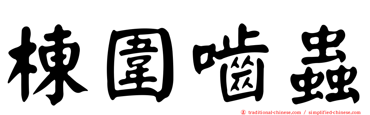 棟圍嚙蟲