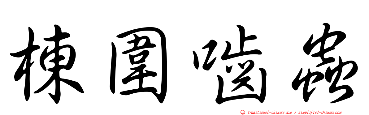 棟圍嚙蟲