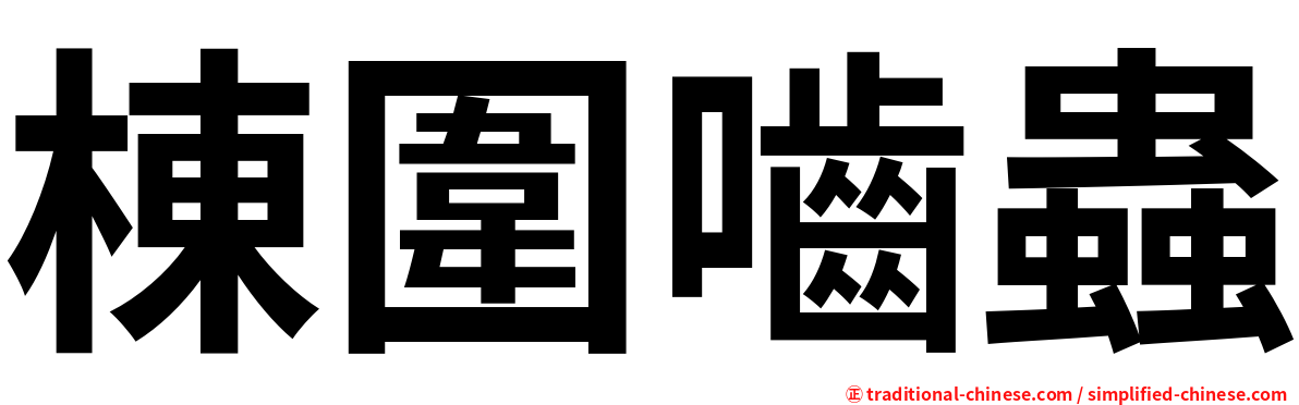 棟圍嚙蟲