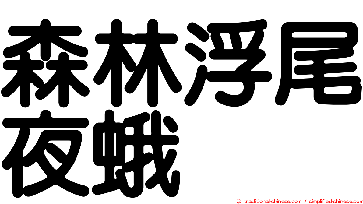 森林浮尾夜蛾