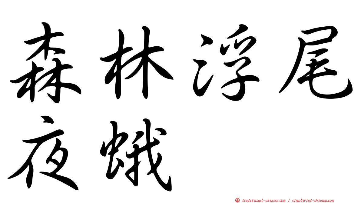 森林浮尾夜蛾