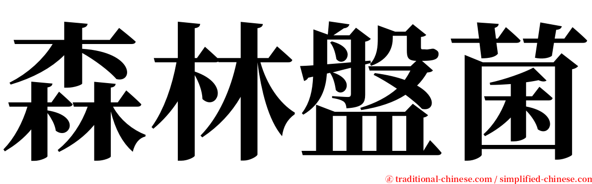 森林盤菌 serif font