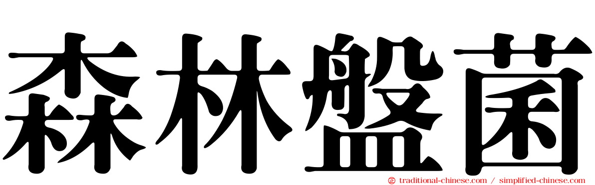 森林盤菌