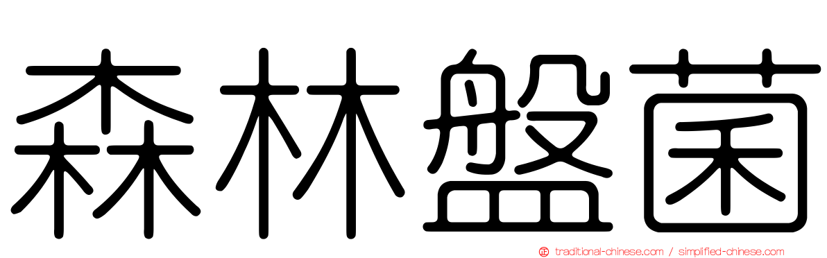 森林盤菌