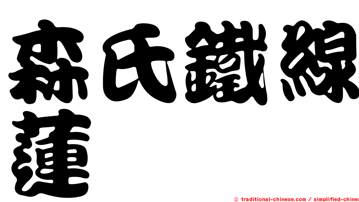 森氏鐵線蓮