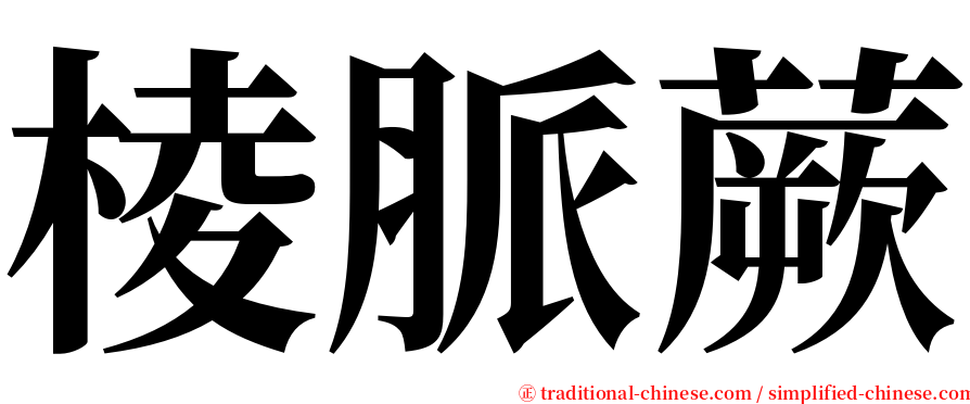 棱脈蕨 serif font