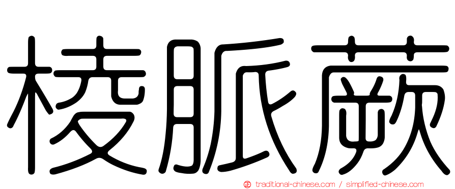 棱脈蕨