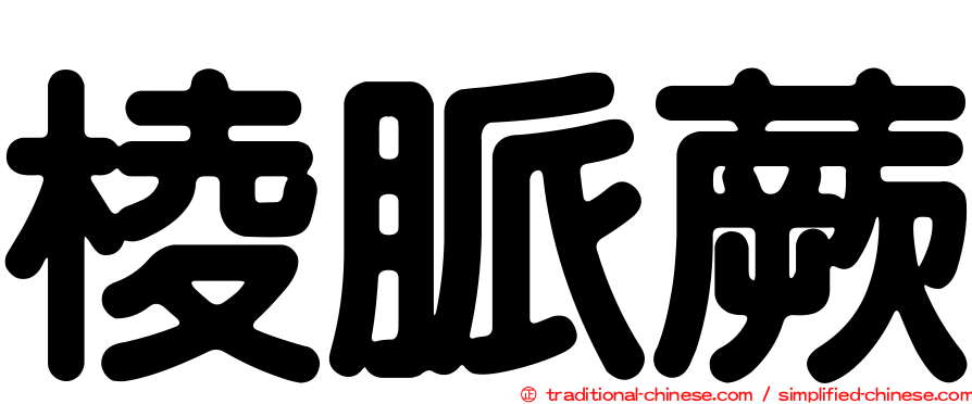 棱脈蕨