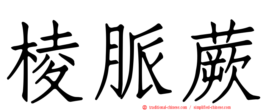 棱脈蕨
