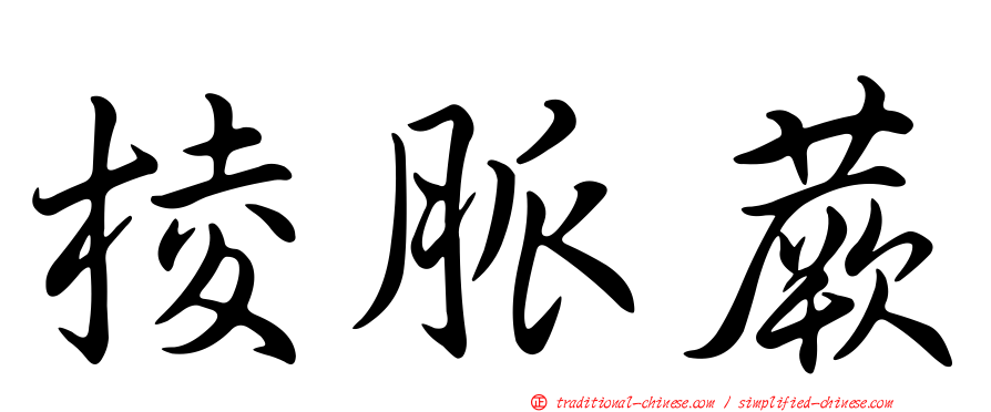 棱脈蕨