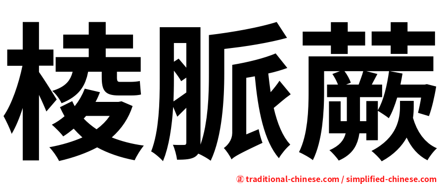 棱脈蕨