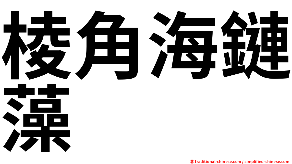 棱角海鏈藻