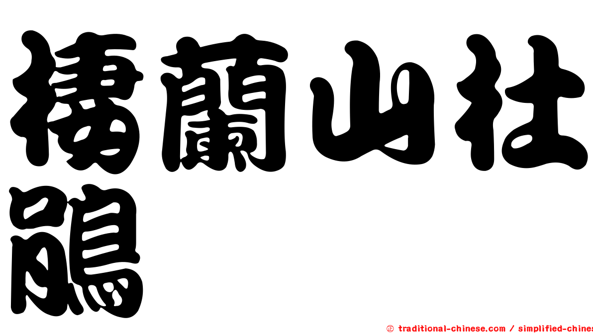 棲蘭山杜鵑