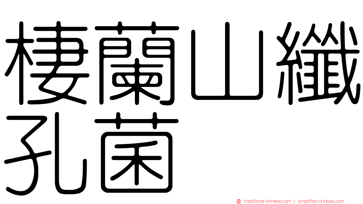 棲蘭山纖孔菌
