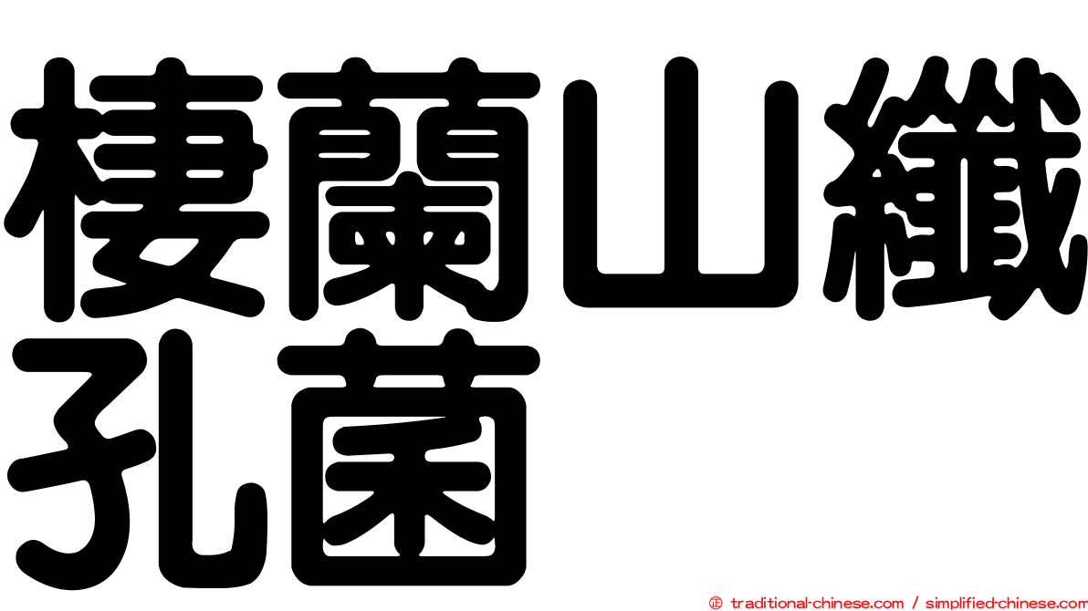 棲蘭山纖孔菌
