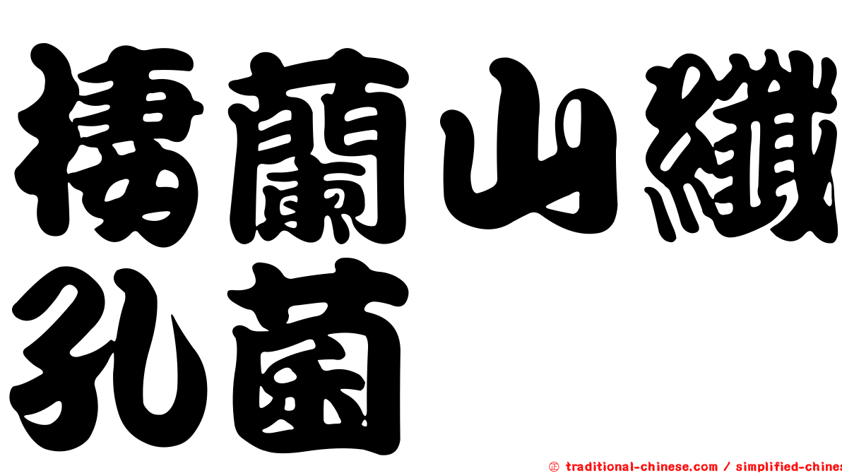 棲蘭山纖孔菌