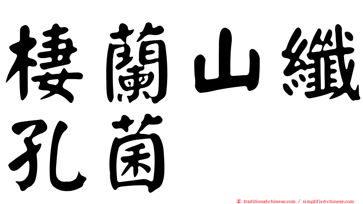 棲蘭山纖孔菌