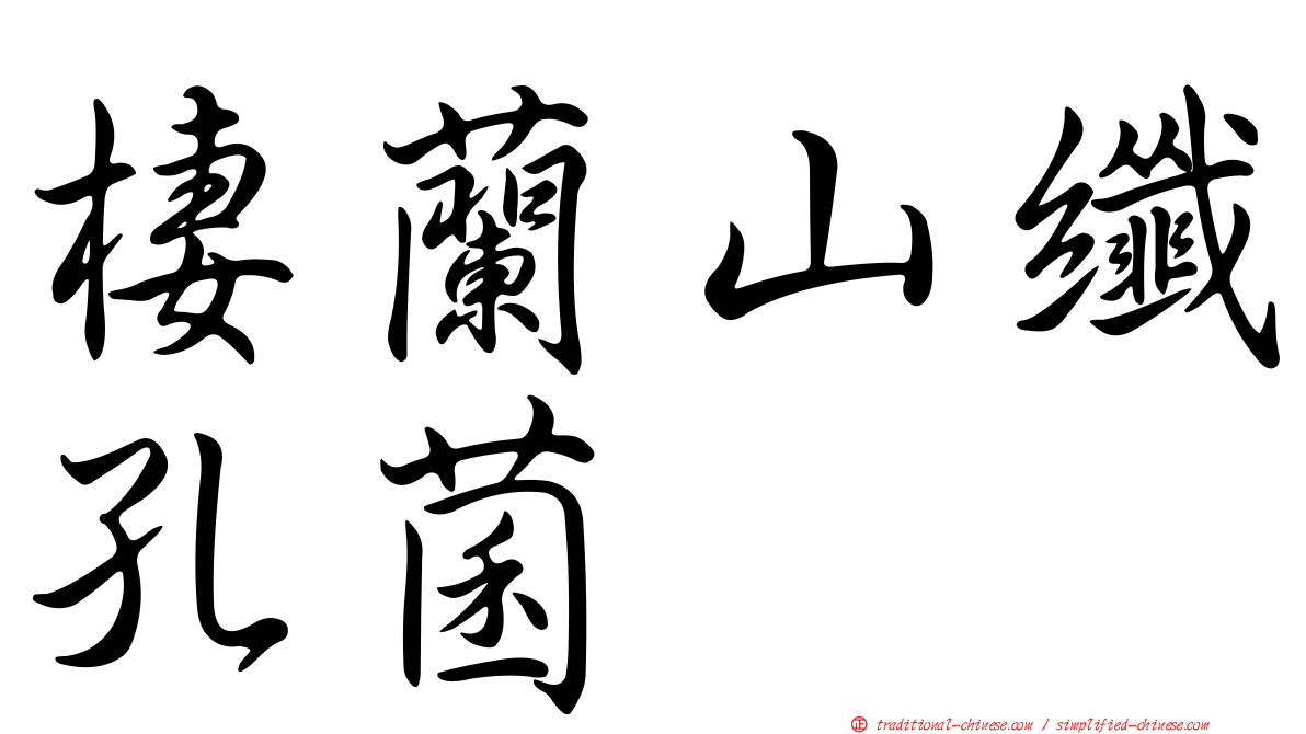 棲蘭山纖孔菌