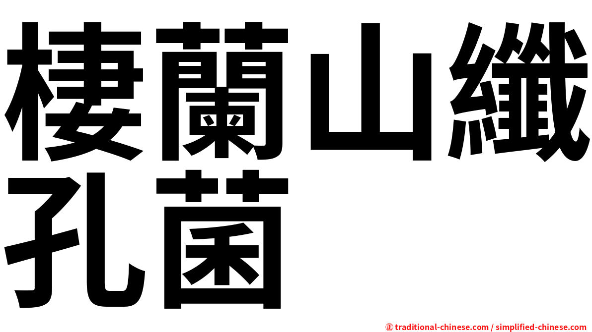 棲蘭山纖孔菌