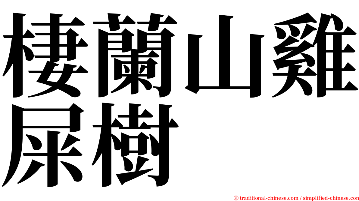 棲蘭山雞屎樹 serif font
