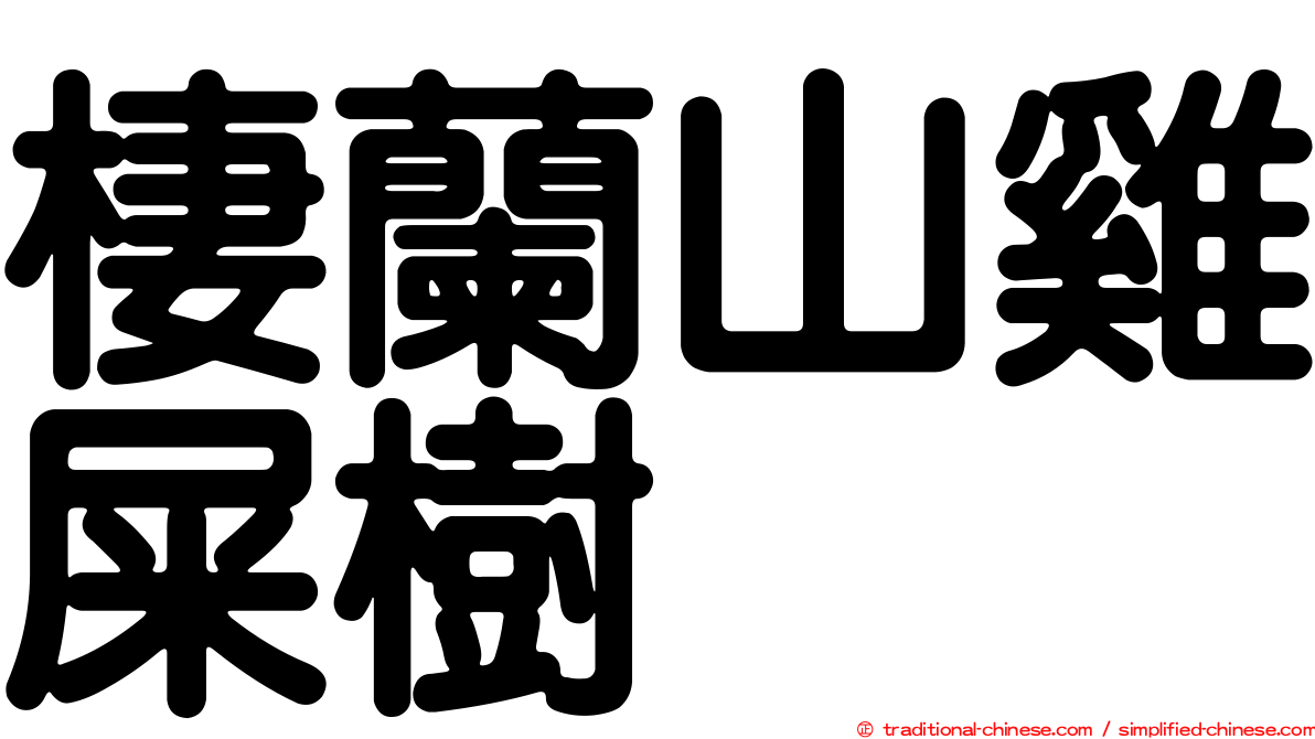 棲蘭山雞屎樹
