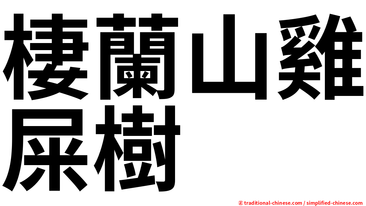 棲蘭山雞屎樹