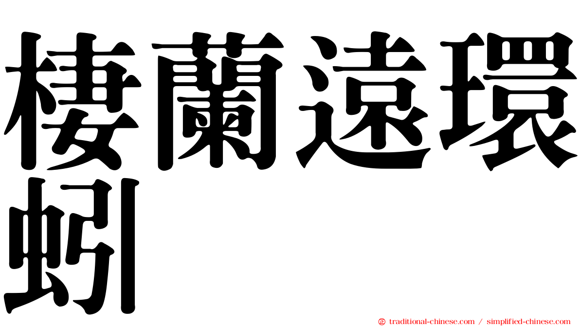 棲蘭遠環蚓
