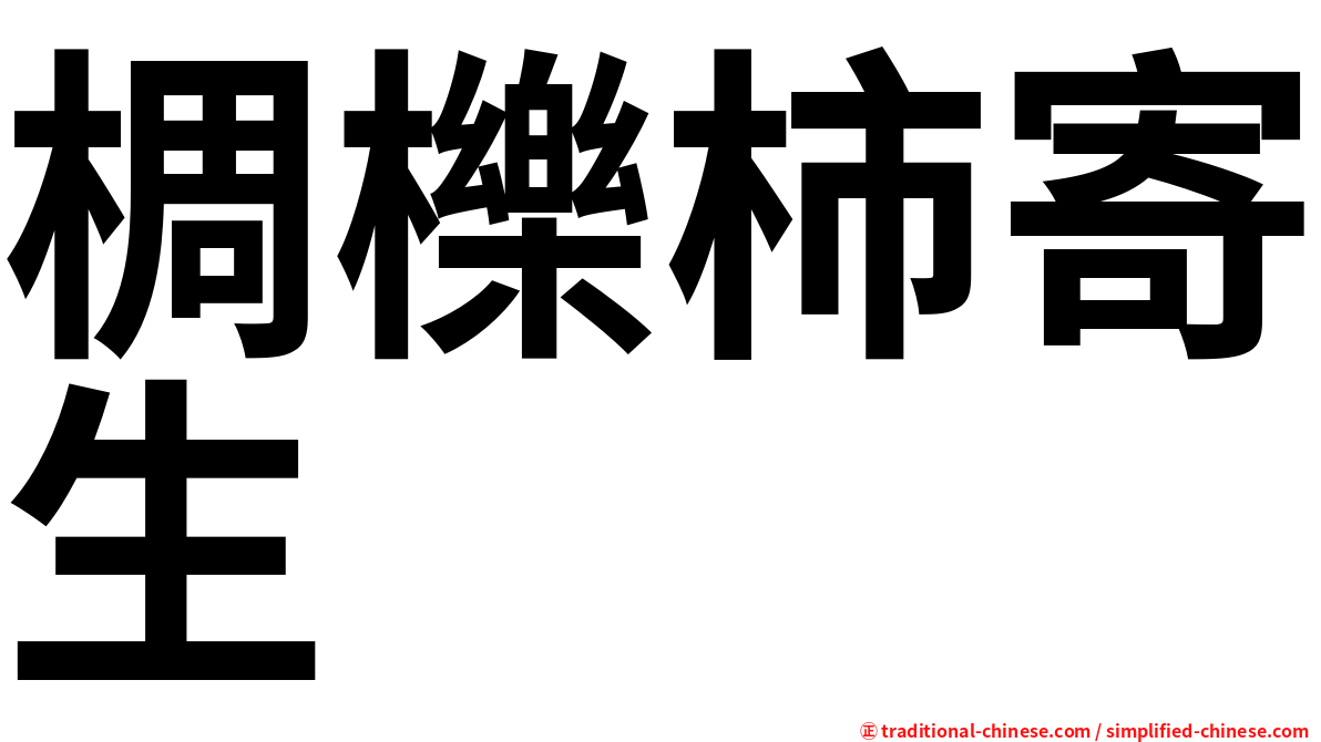 椆櫟柿寄生