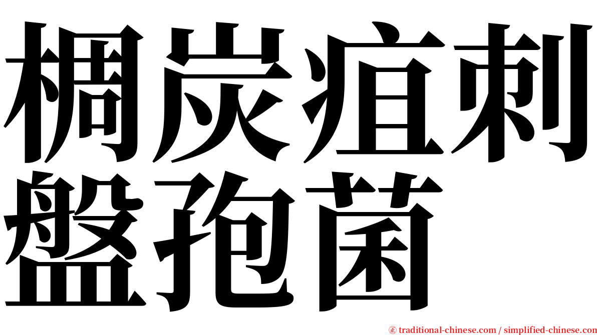 椆炭疽刺盤孢菌 serif font