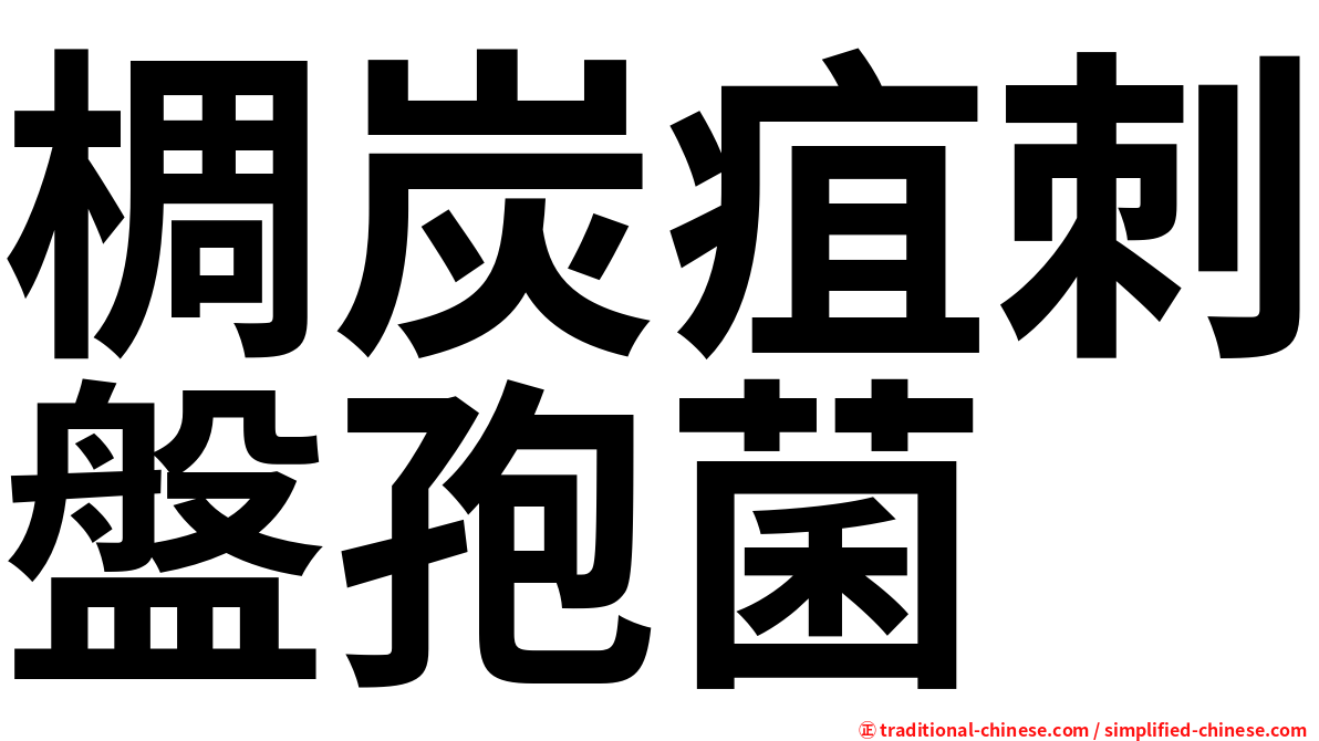 椆炭疽刺盤孢菌