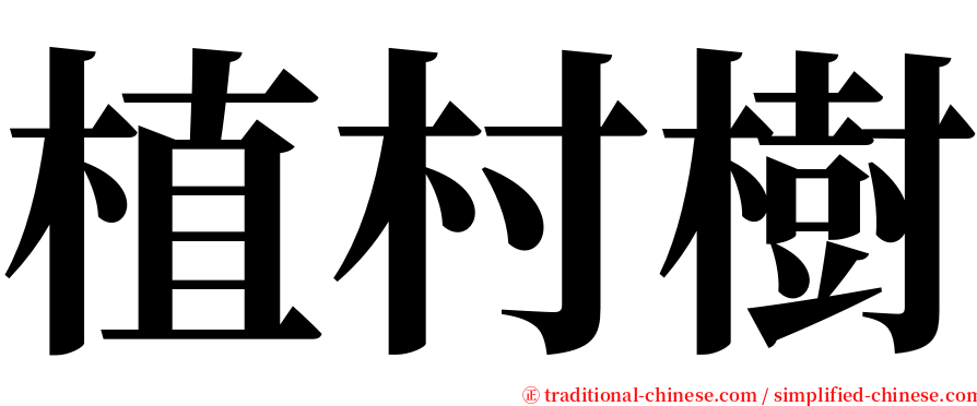 植村樹 serif font