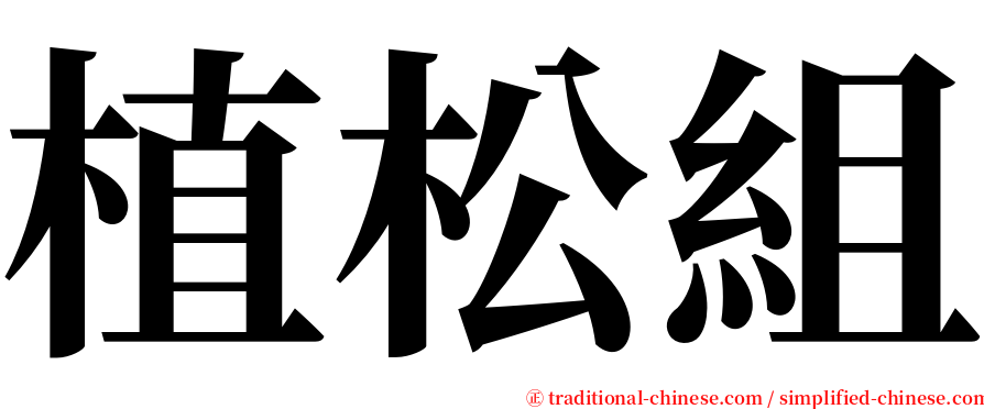 植松組 serif font