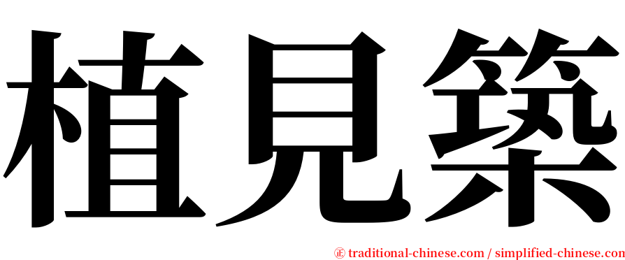 植見築 serif font