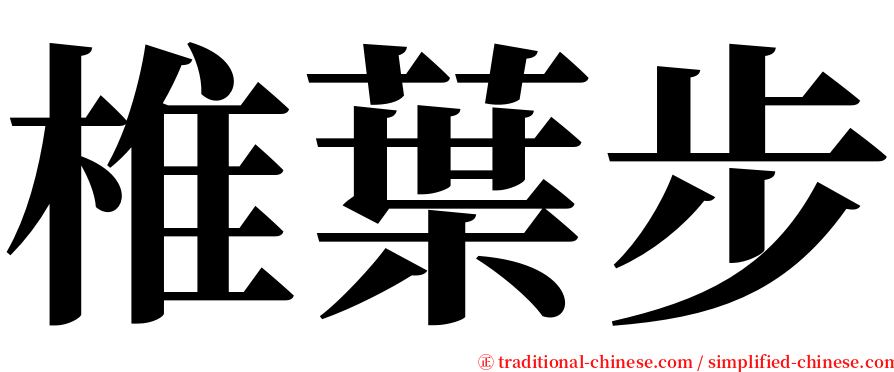 椎葉步 serif font