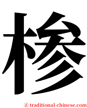 椮 serif font