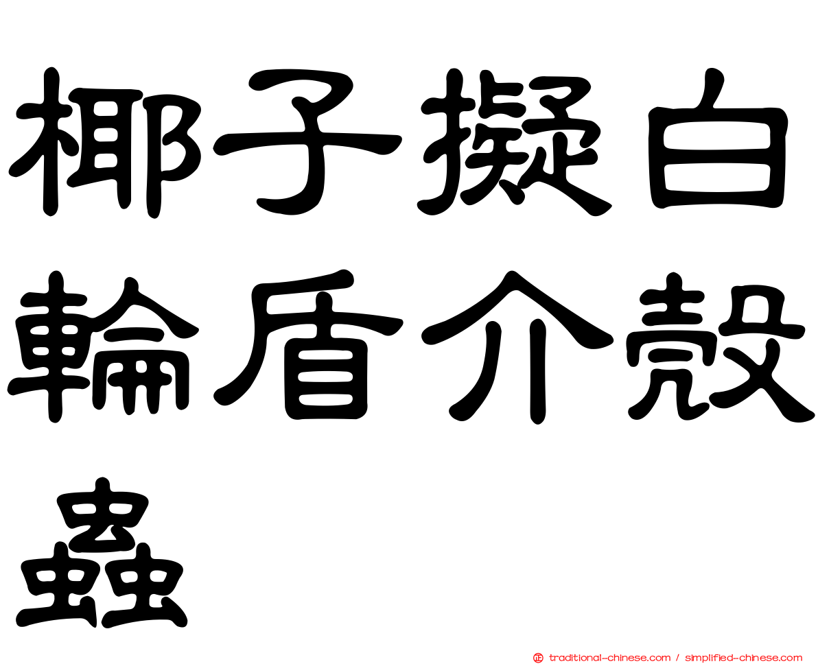 椰子擬白輪盾介殼蟲